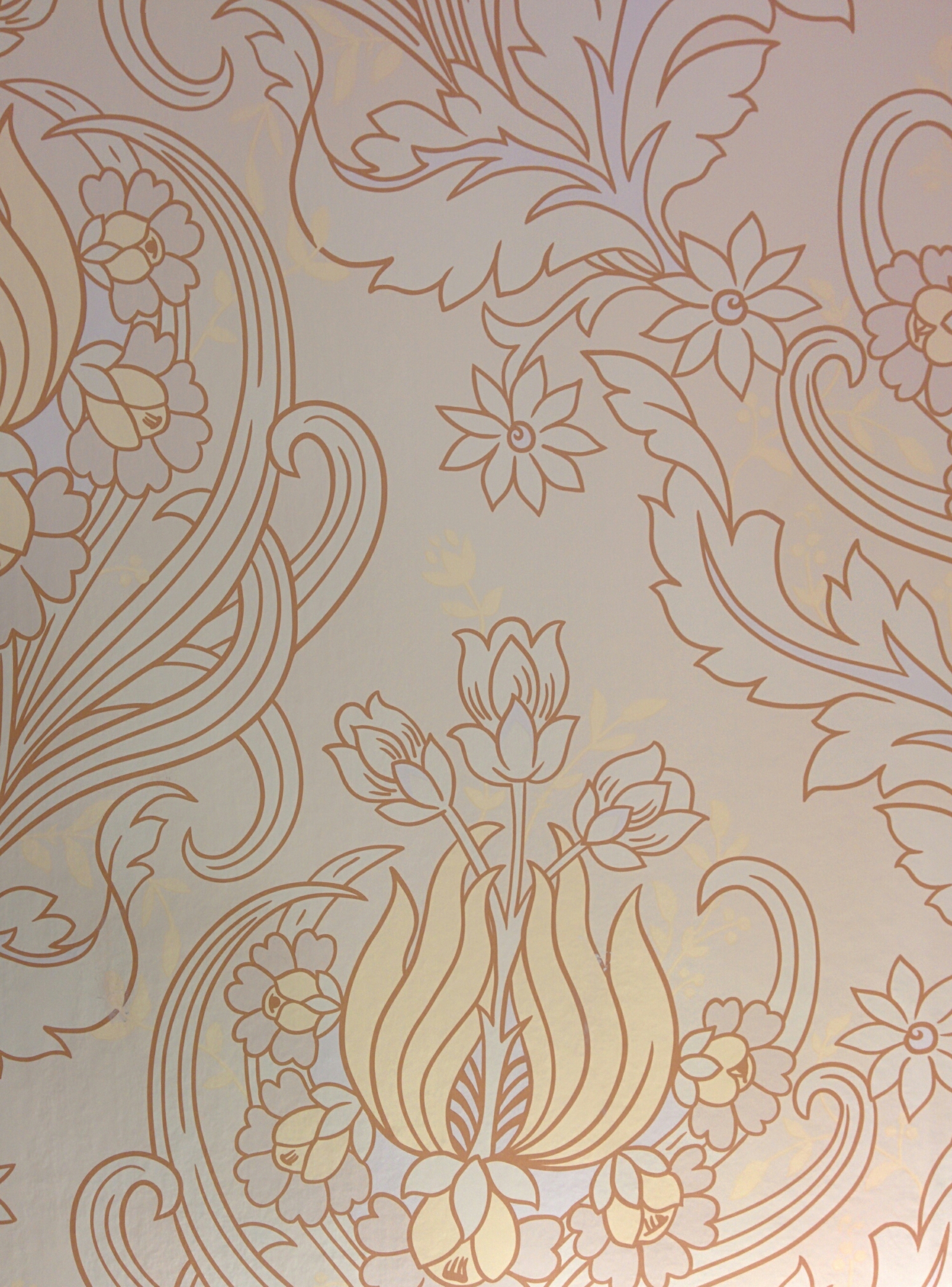 wp-1439750951980 image